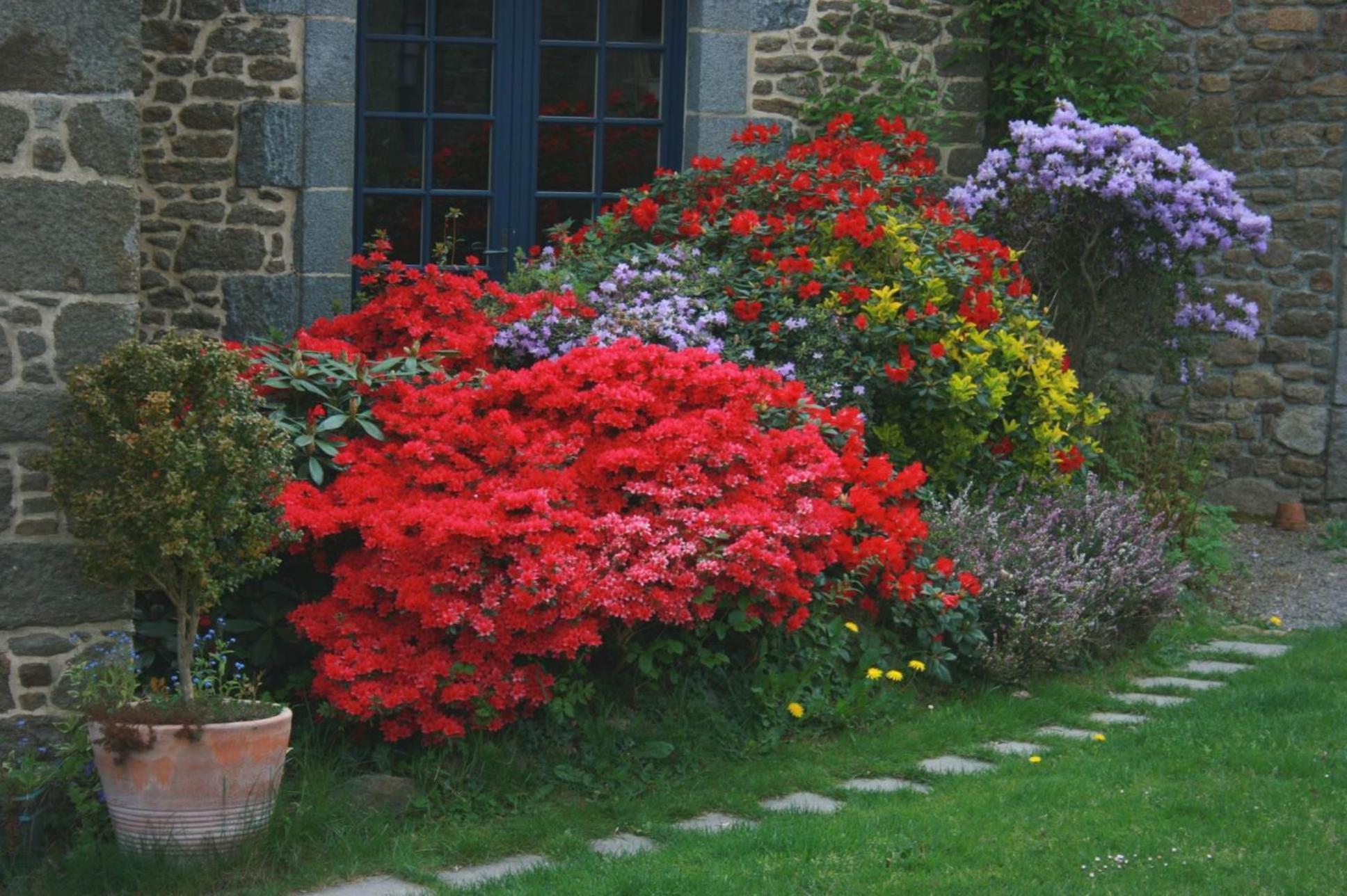 Au Pont Ricoul Bed & Breakfast Saint-Pierre-de-Plesguen ภายนอก รูปภาพ