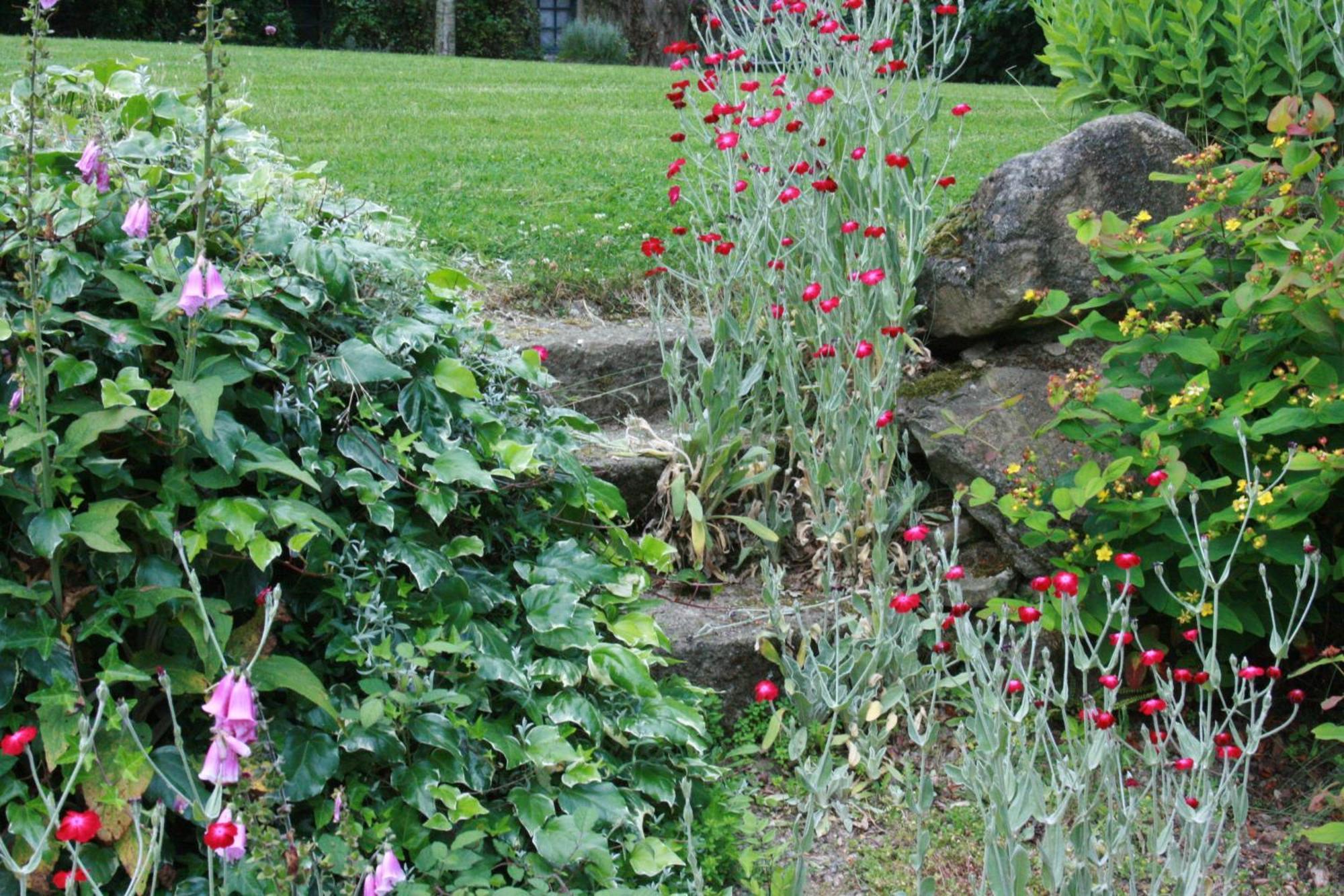 Au Pont Ricoul Bed & Breakfast Saint-Pierre-de-Plesguen ภายนอก รูปภาพ