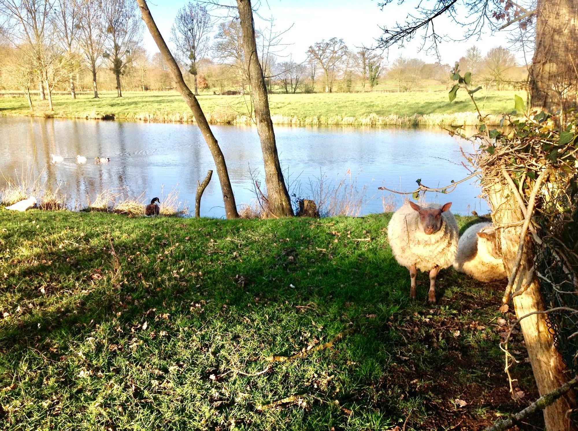 Au Pont Ricoul Bed & Breakfast Saint-Pierre-de-Plesguen ภายนอก รูปภาพ