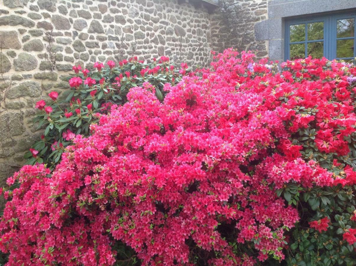 Au Pont Ricoul Bed & Breakfast Saint-Pierre-de-Plesguen ภายนอก รูปภาพ